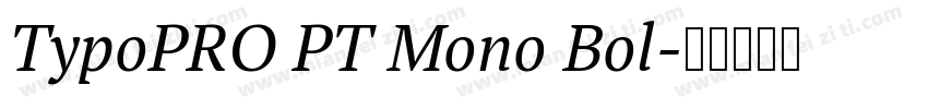 TypoPRO PT Mono Bol字体转换